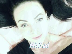 MicBad