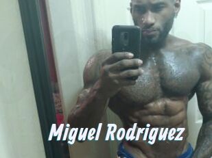 Miguel_Rodriguez
