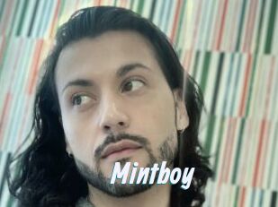 Mintboy