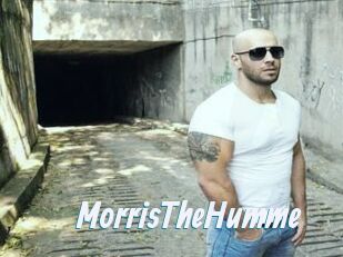 MorrisTheHumme