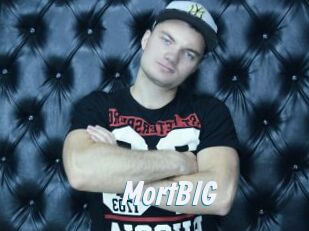 MortBIG