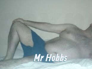 Mr_Hobbs