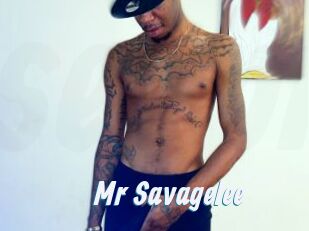 Mr_Savagelee