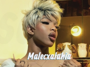 malecxalahia Sexe Express