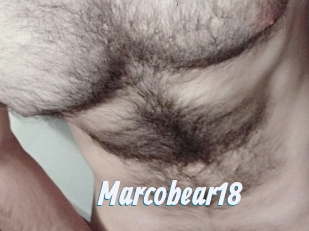 Marcobear18