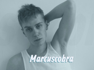 marcuscobra Sexe Express