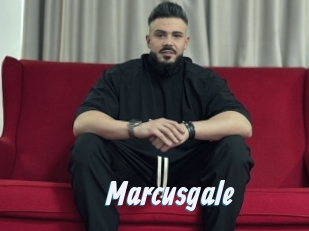 Marcusgale