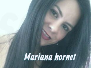 Mariana_hornet