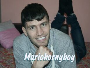Mariohornyboy