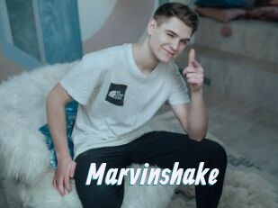 Marvinshake