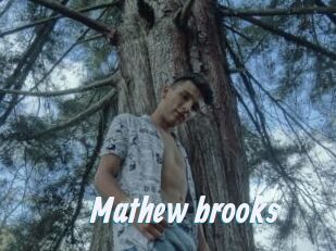 Mathew_brooks