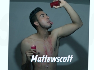mattewscott Sexe Express