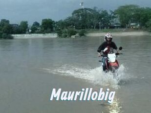 Maurillobig