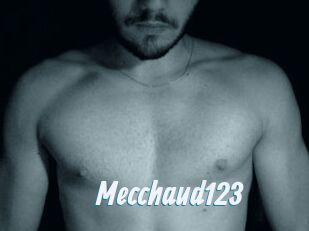Mecchaud123