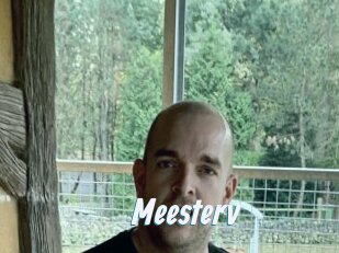 Meesterv