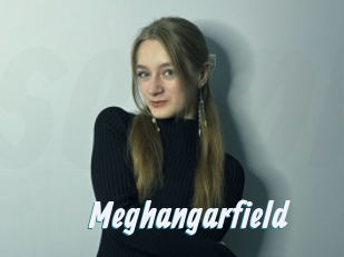 Meghangarfield