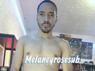 Melaneyrosesub