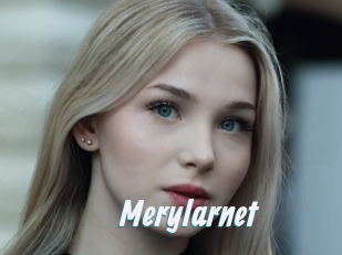 Merylarnet