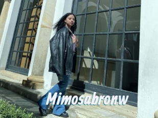 Mimosabronw