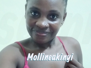 Mollineakinyi