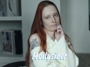Mollysiber