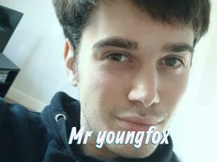 Mr_youngfox