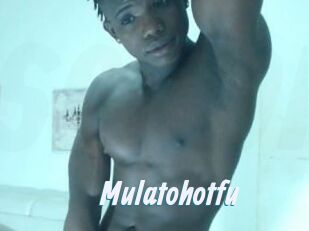 Mulatohotfu