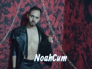 NoahCum