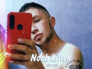Noah_kitten