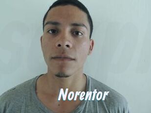 Noren_tor