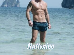 Nattenino