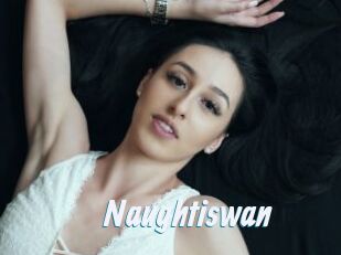 Naughtiswan