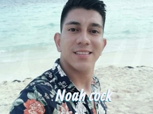 noah_cock Sexe Express