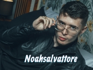 Noahsalvattore