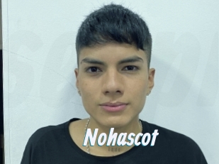 nohascot Sexe Express