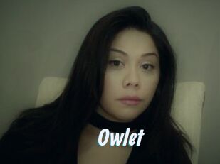_Owlet_