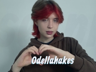 Odellahakes