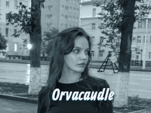 Orvacaudle