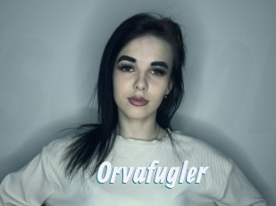 Orvafugler