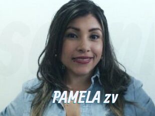 PAMELA_zv