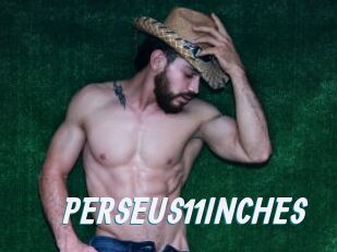 PERSEUS11INCHES