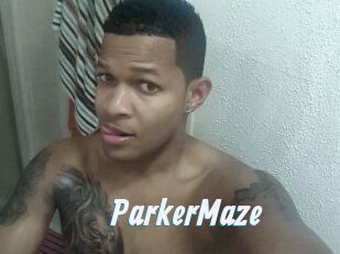 Parker_Maze