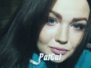 PatCat