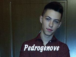 Pedrogenove