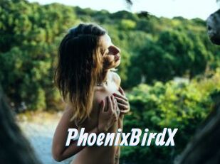 PhoenixBirdX