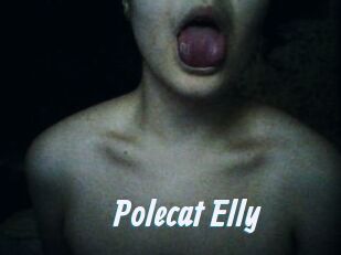 Polecat_Elly