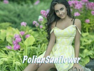 PolianSunflower