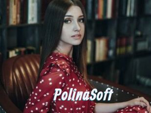 PolinaSoft
