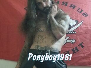 Ponyboy1981