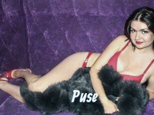 Puse